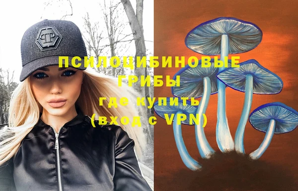 дживик Кодинск