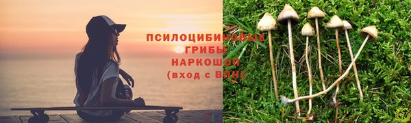 спайс Костерёво