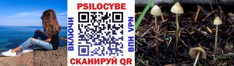 OMG ONION  Мелеуз  площадка телеграм  Галлюциногенные грибы Psilocybine cubensis 